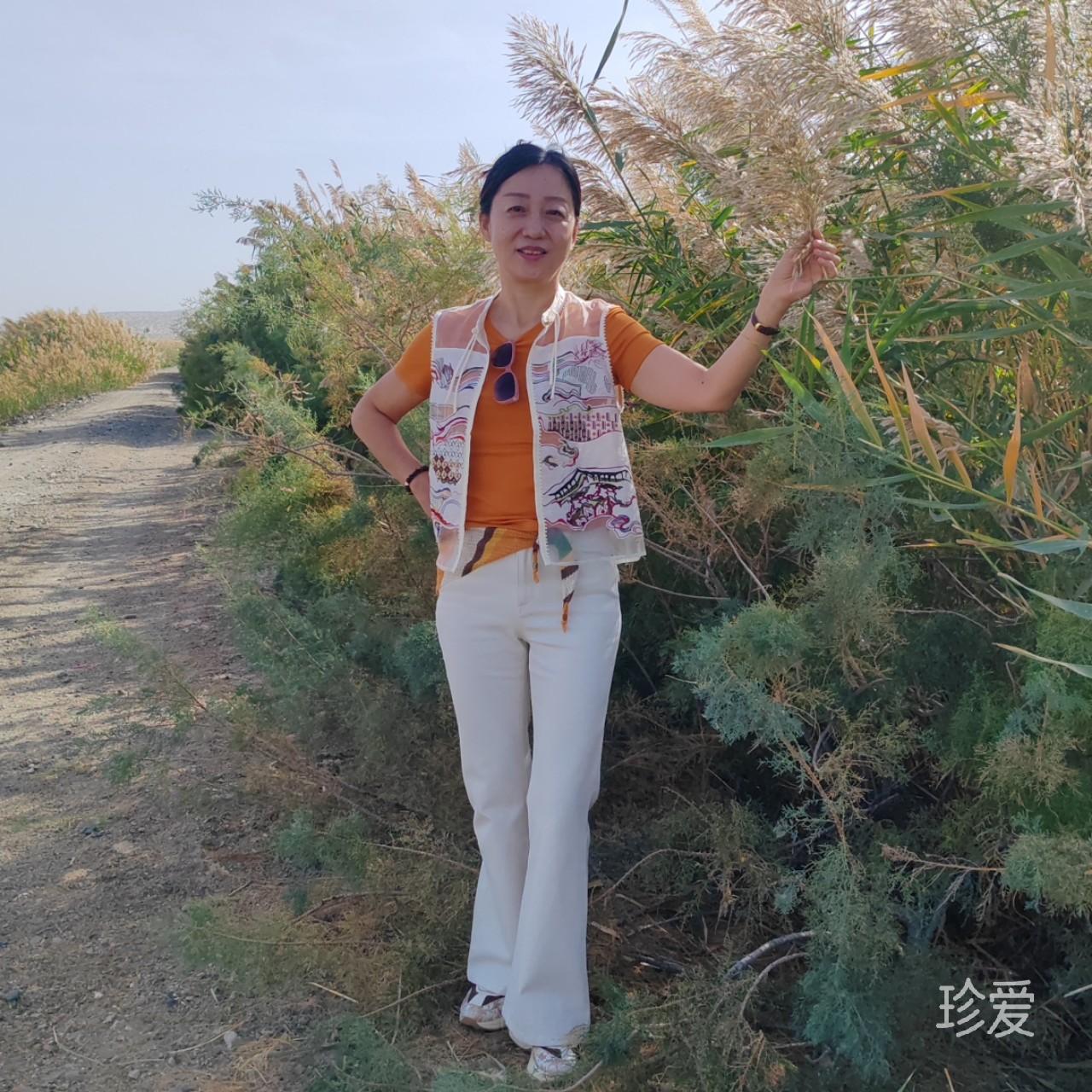朵朵
