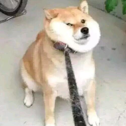 會(huì)員64822721