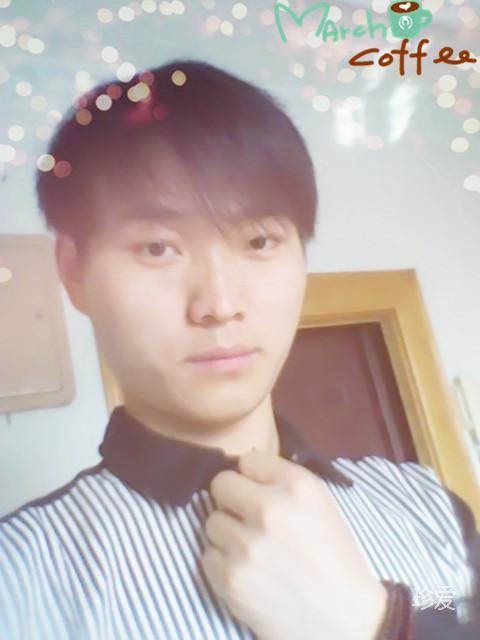 梦之窗