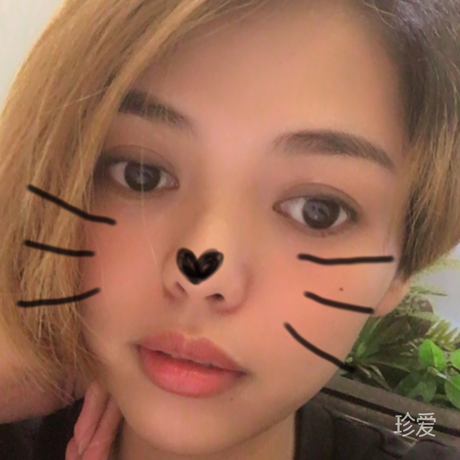 霞女