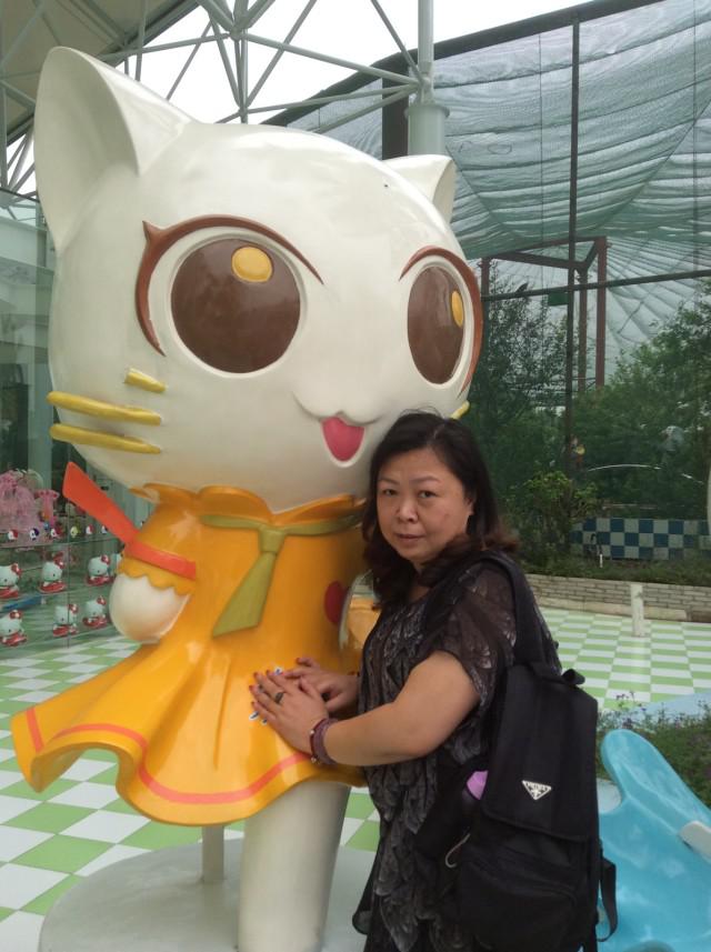 cat_hlm