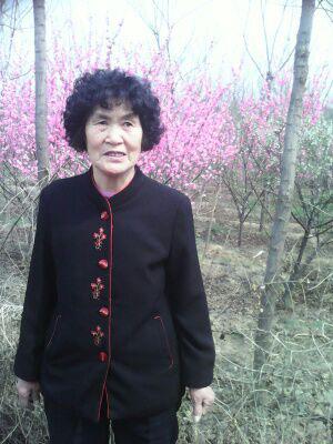 一場宿命的糾結