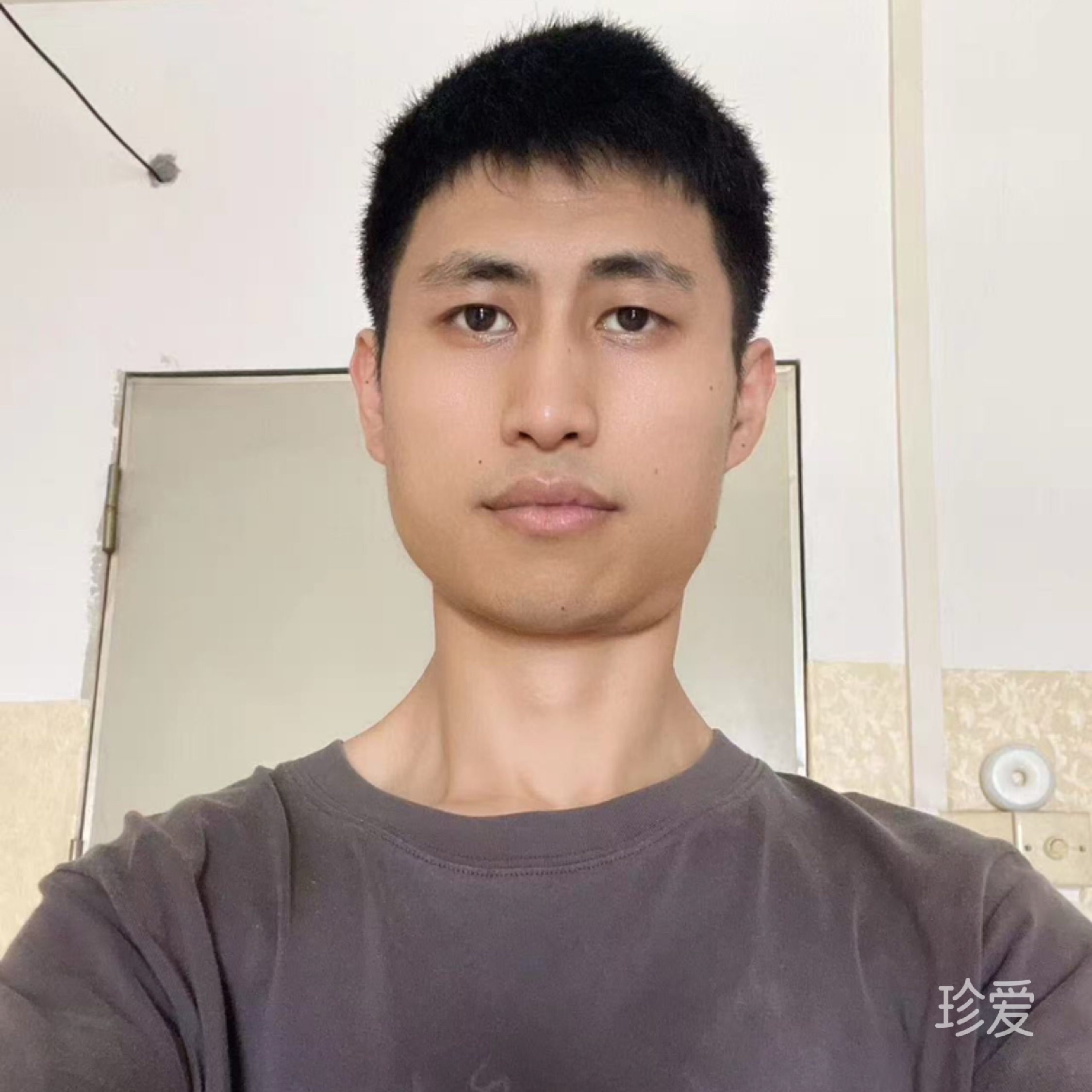 真田小panda