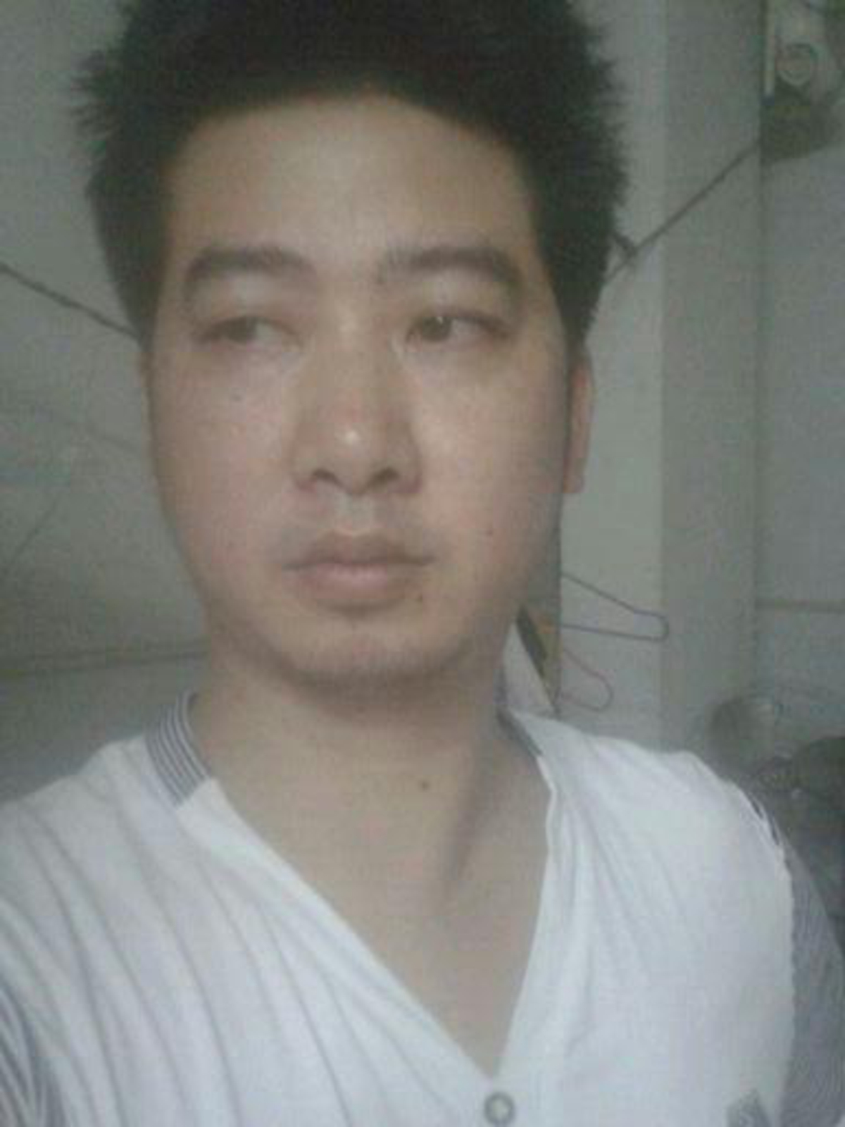 万里青山总是情