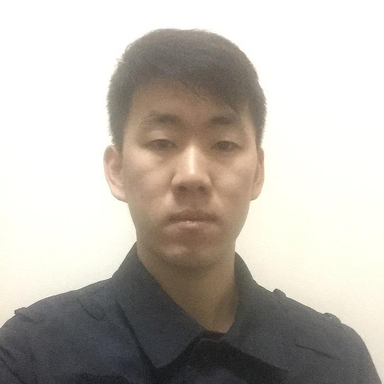 自由的风