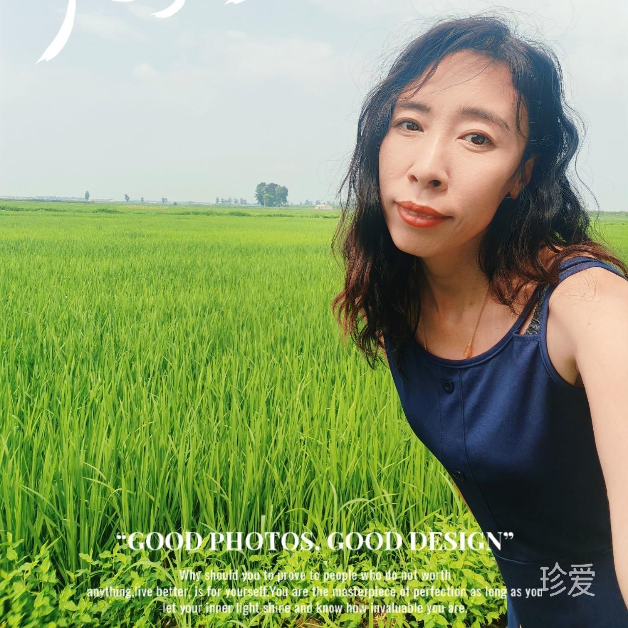 莫文艺
