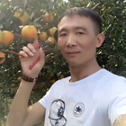 隱形的翅膀