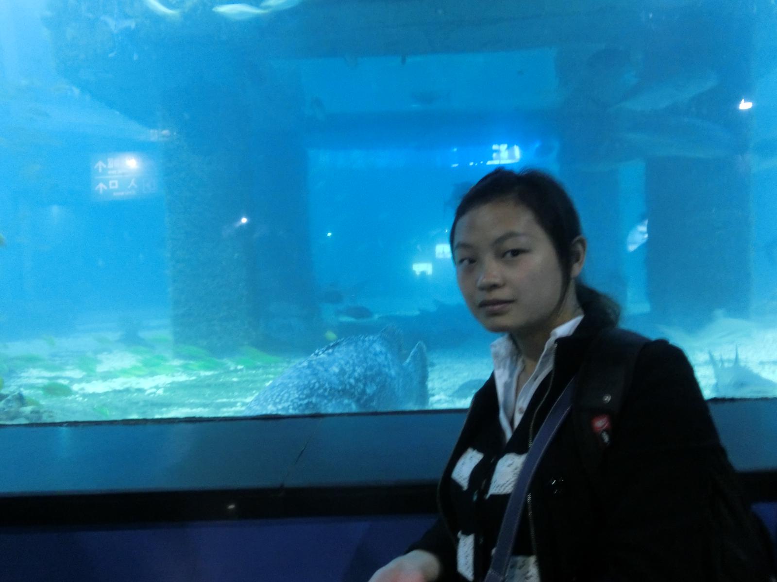 會(huì)員68825983