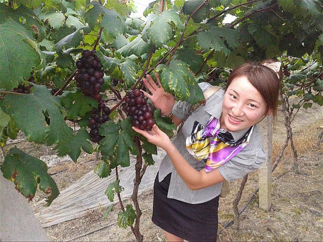 會(huì)員69274373