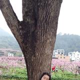 會(huì)員69442611