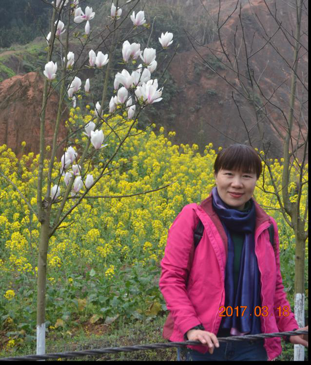 静等幸福来敲门