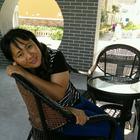 風(fēng)雨中的香水百合