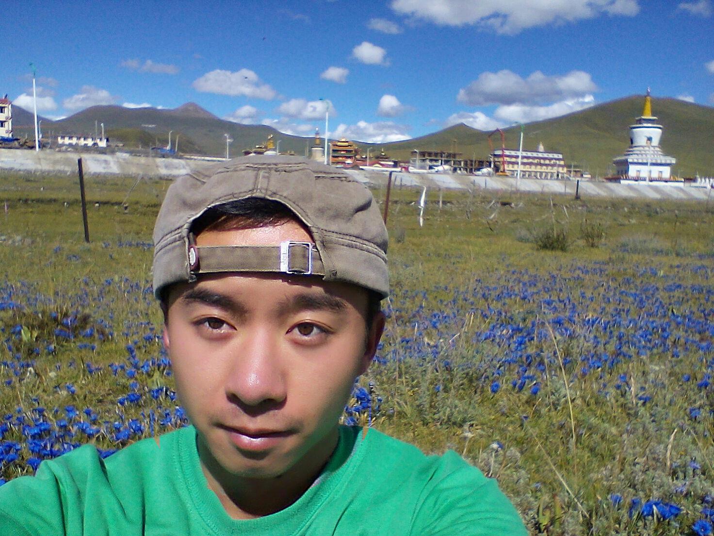 會(huì)員71133916