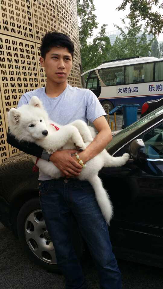 用十分来弥补过去