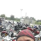 會(huì)員74597757