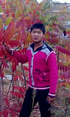 會(huì)員75540430