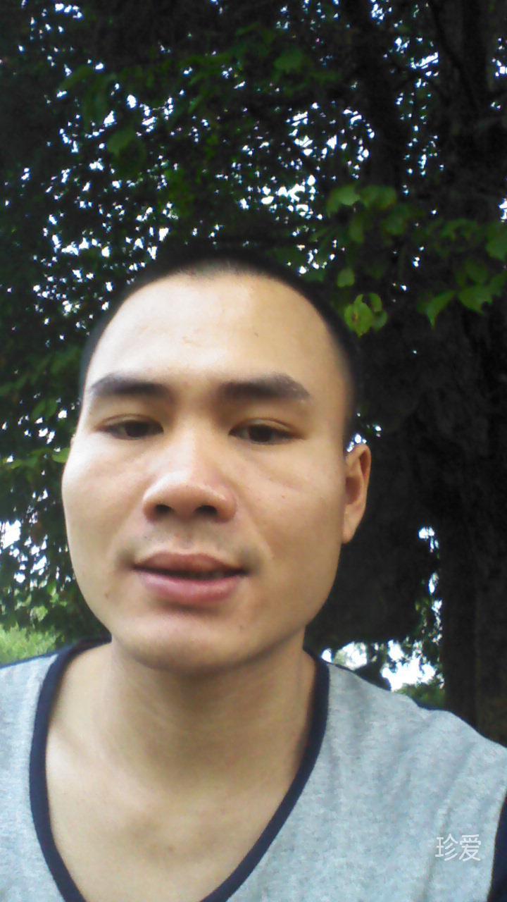 慢悠悠的小烏龜