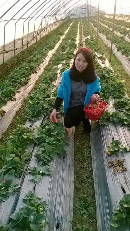 离愁尽在不言中