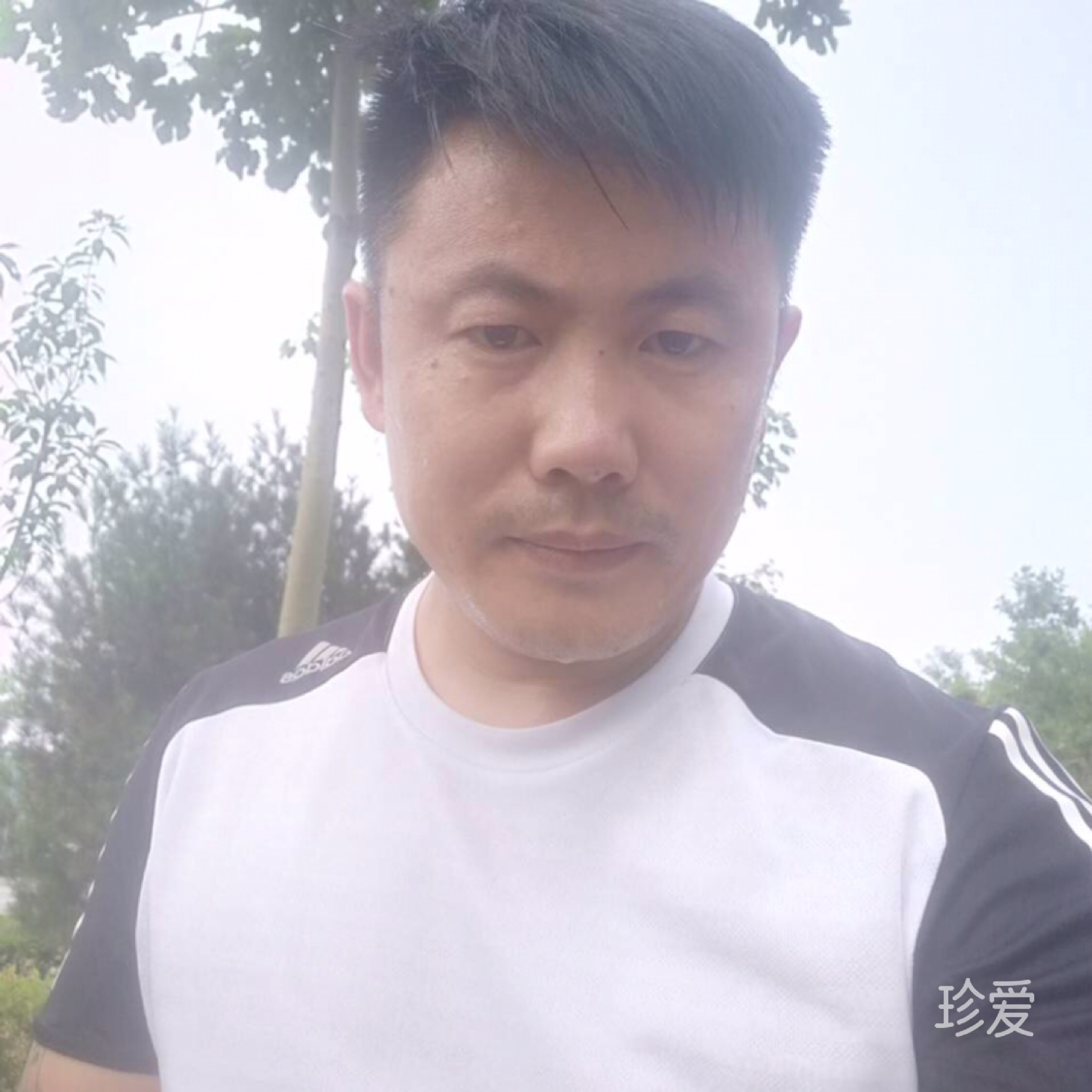 真诚
