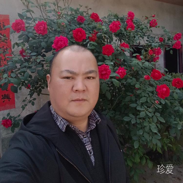 我和我追逐的夢