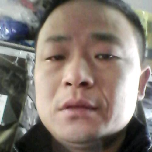 会员79206811
