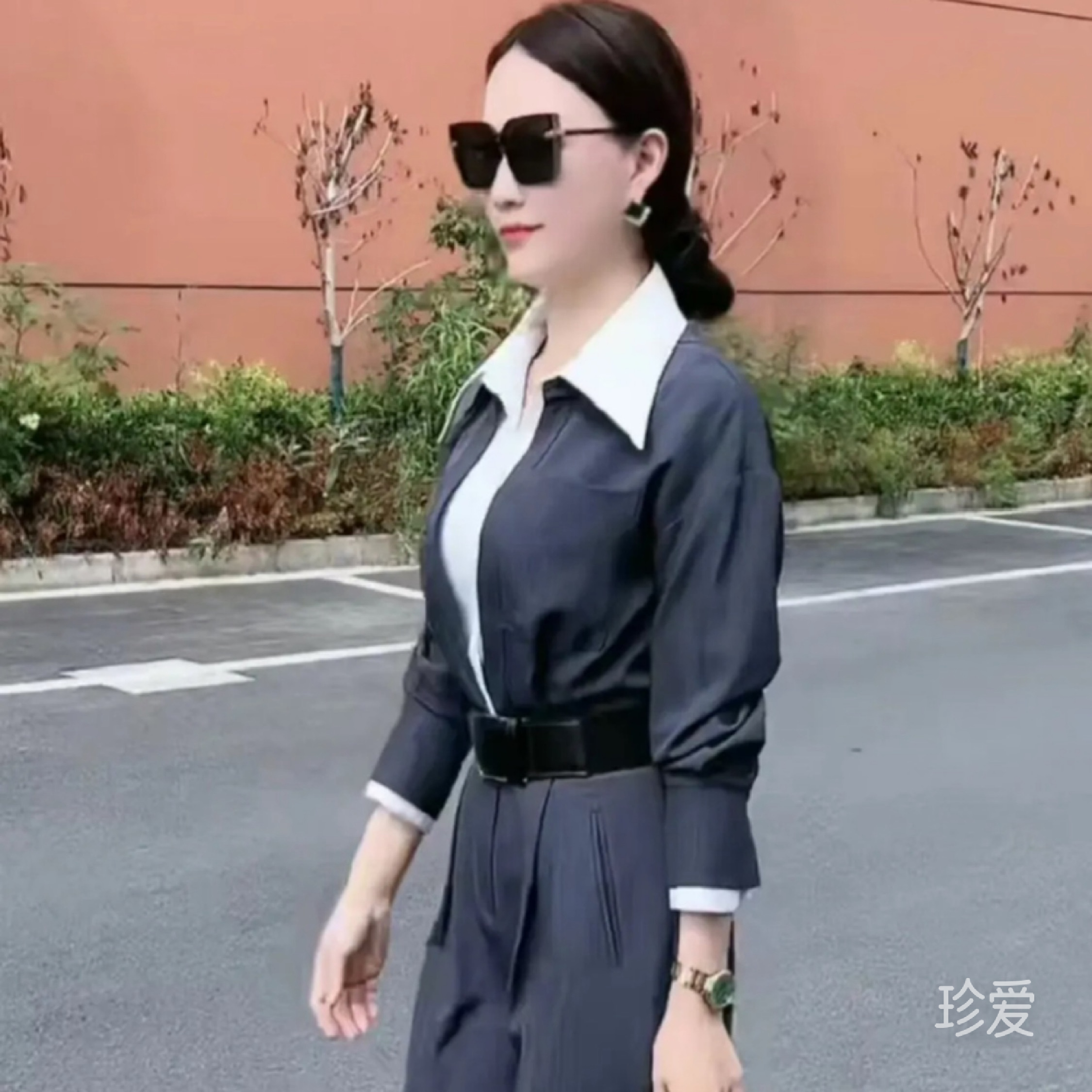 小燕子