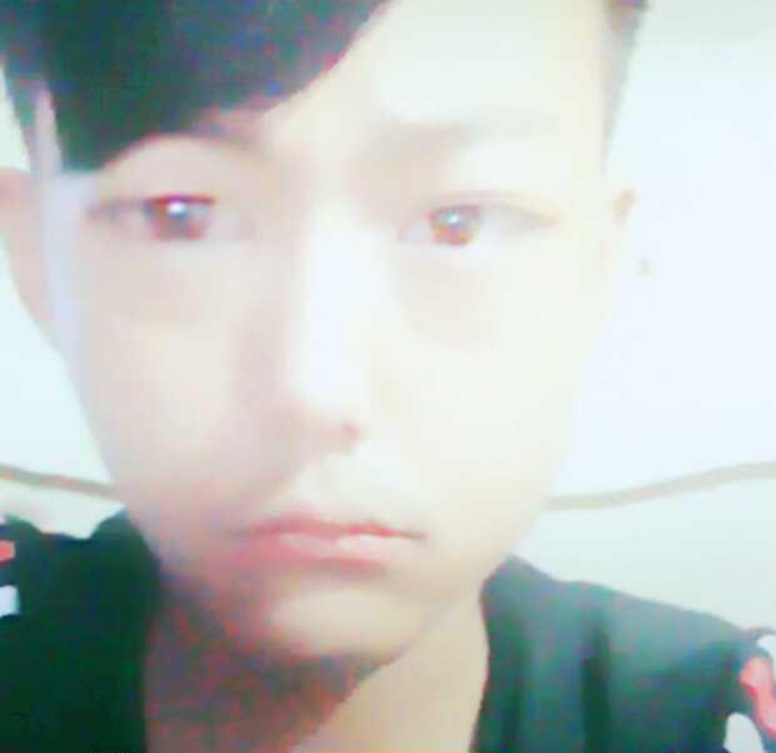 会员81531233