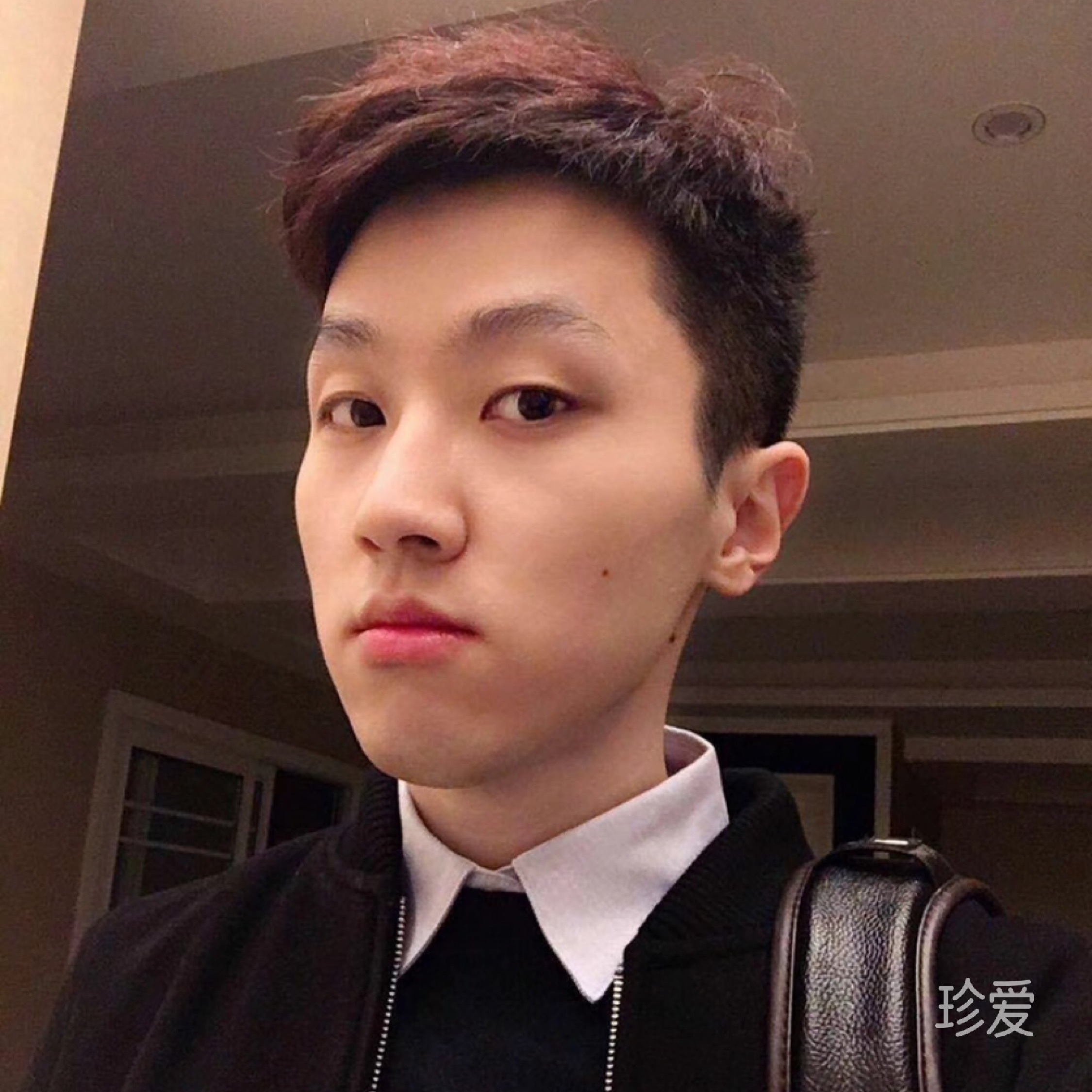 素依白