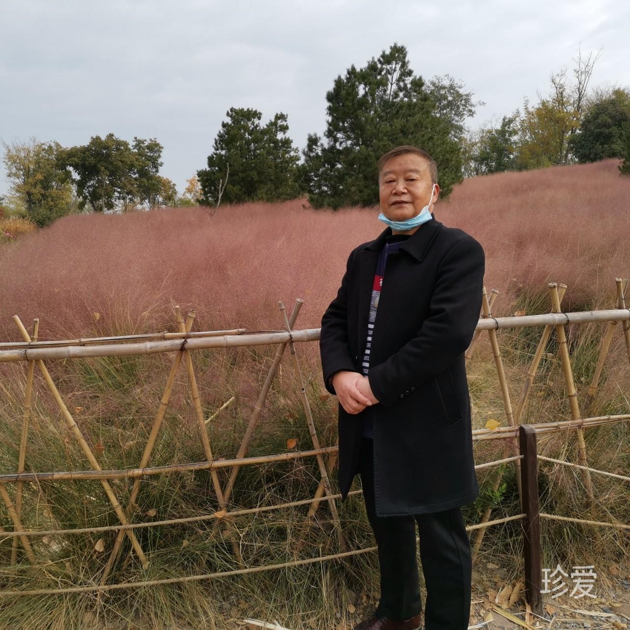 发哥