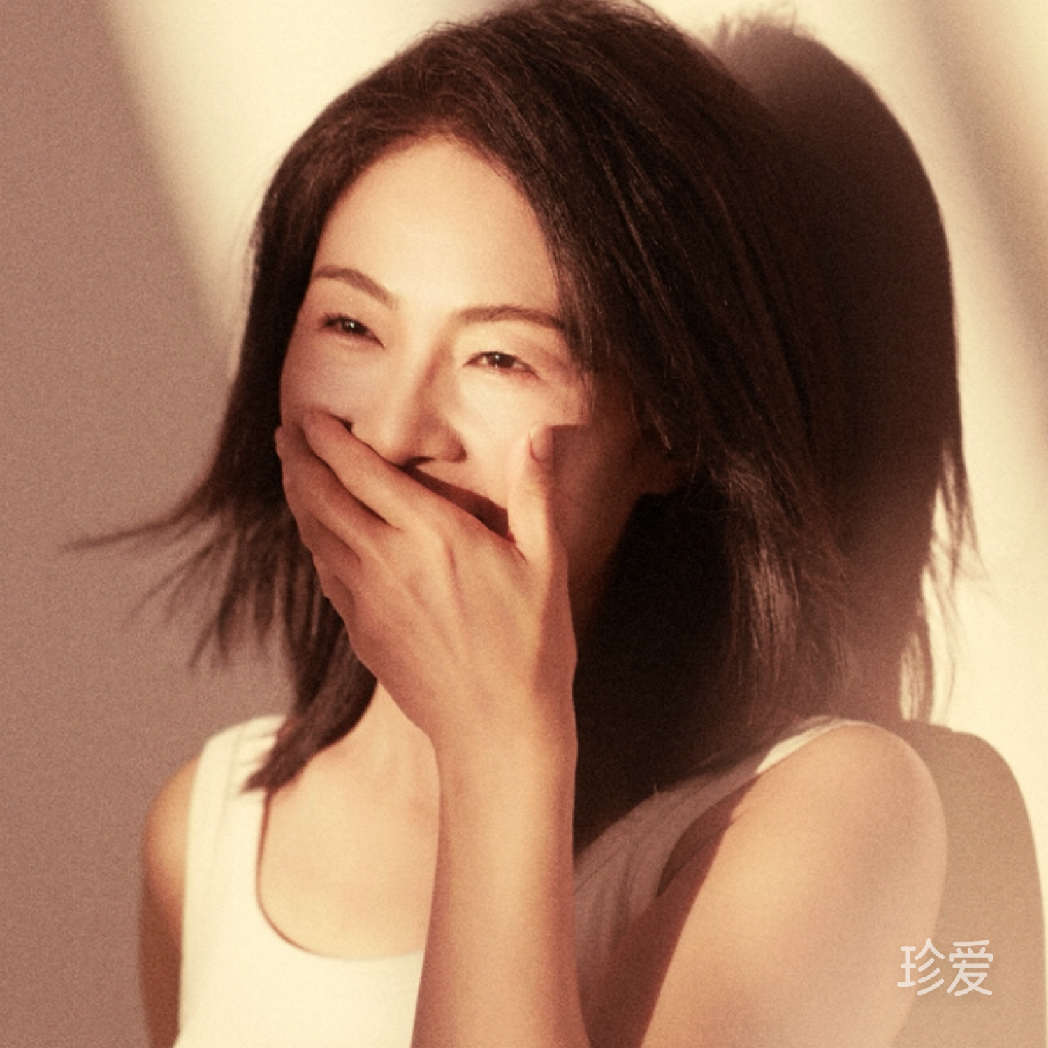 海棠好运莲莲