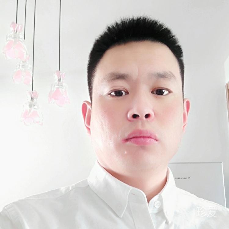 草原雄鹰