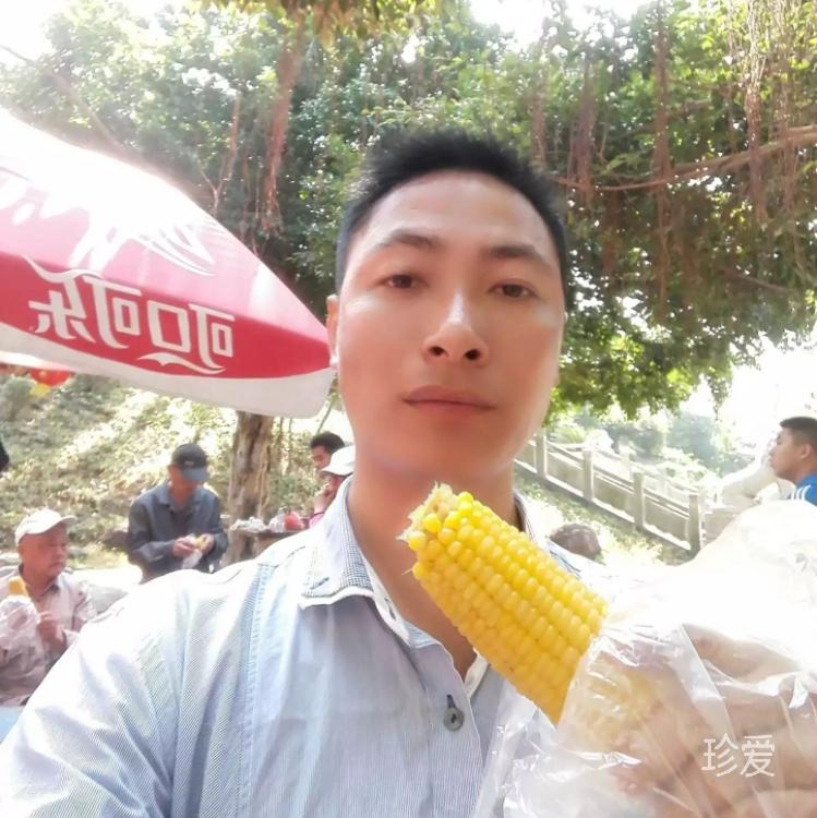 丰茂