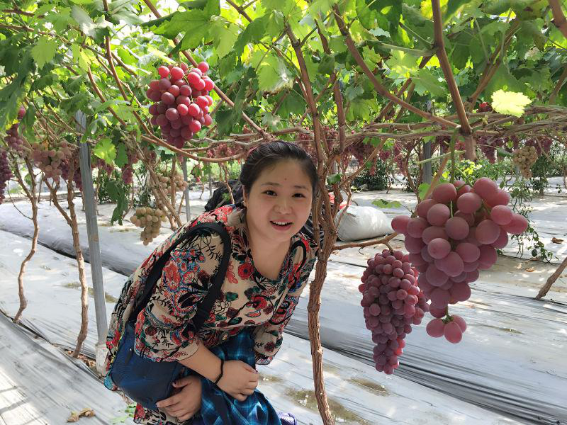 會(huì)員82595511