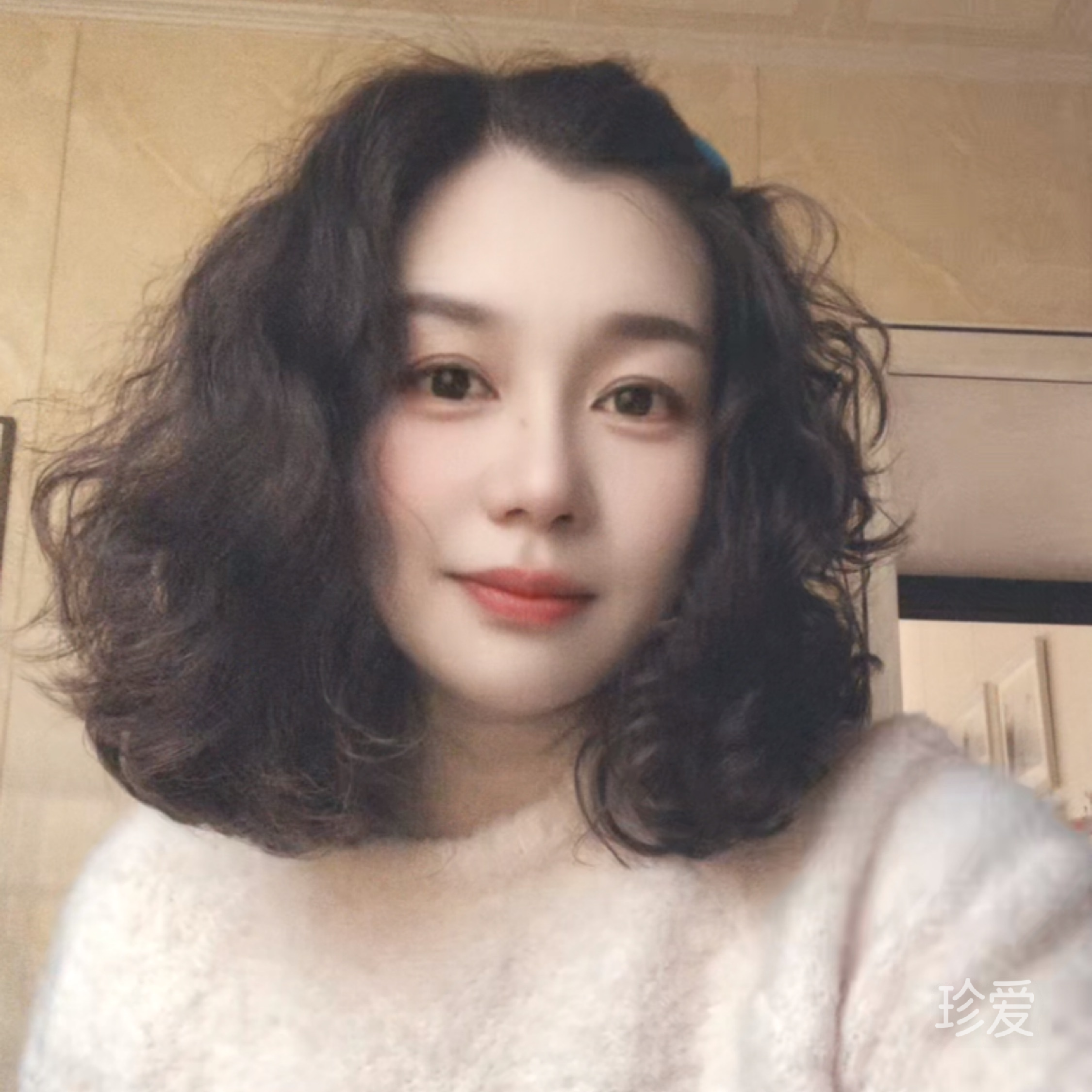呆二萌