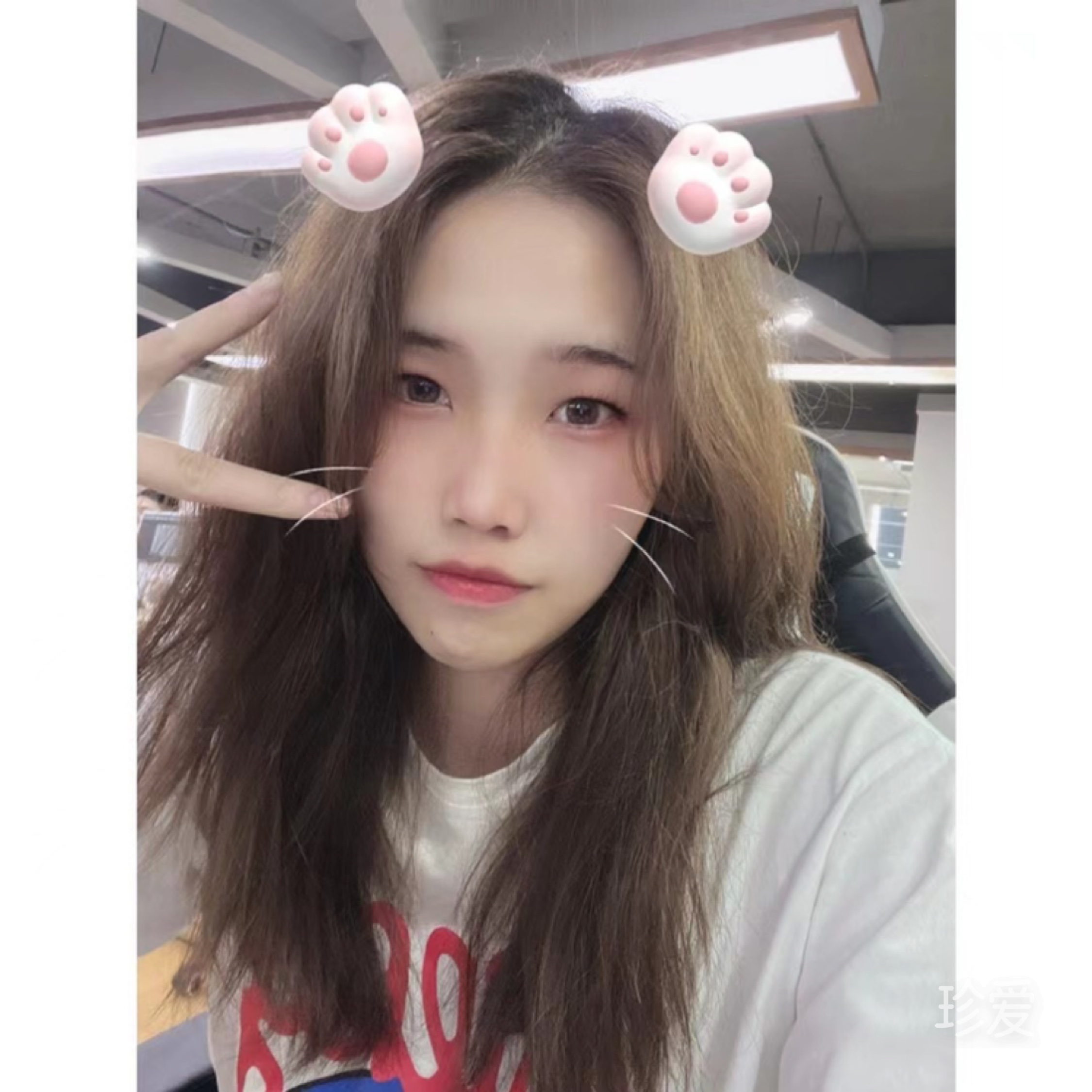 有点高的小姐