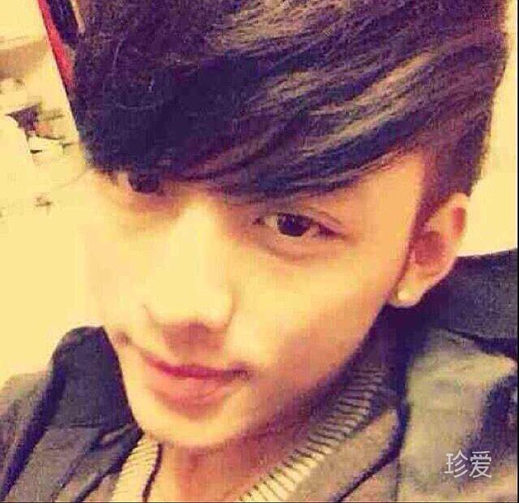 陽光彩虹小白馬