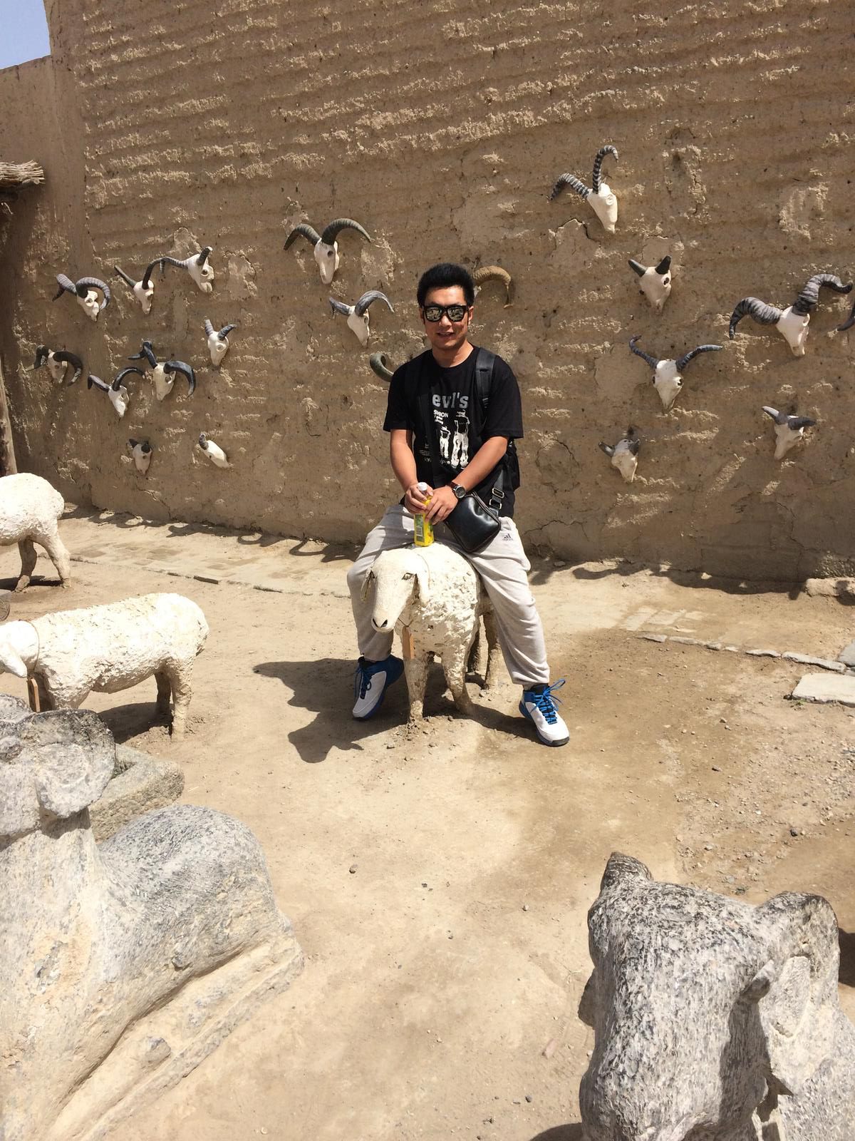 會(huì)員83231623