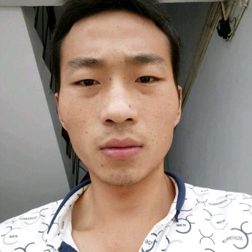 会员83288548