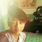 會(huì)員83422871