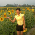 會(huì)員83693302