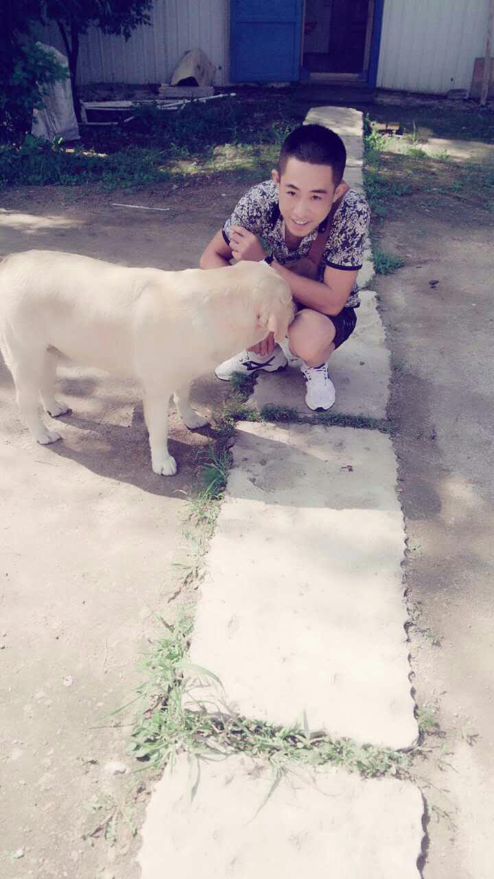 會(huì)員84182800