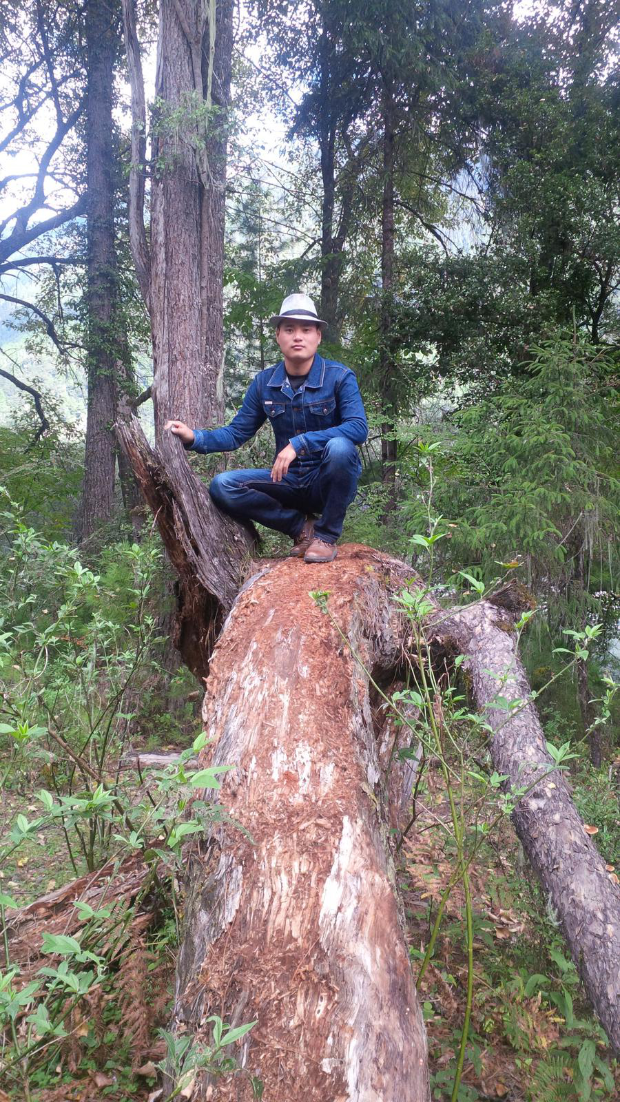 會(huì)員84354769