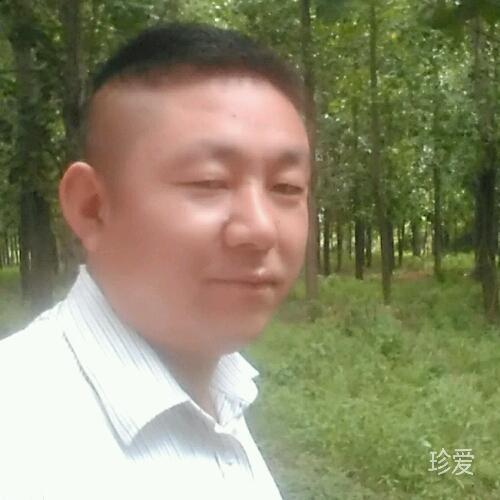 一起去看流星雨