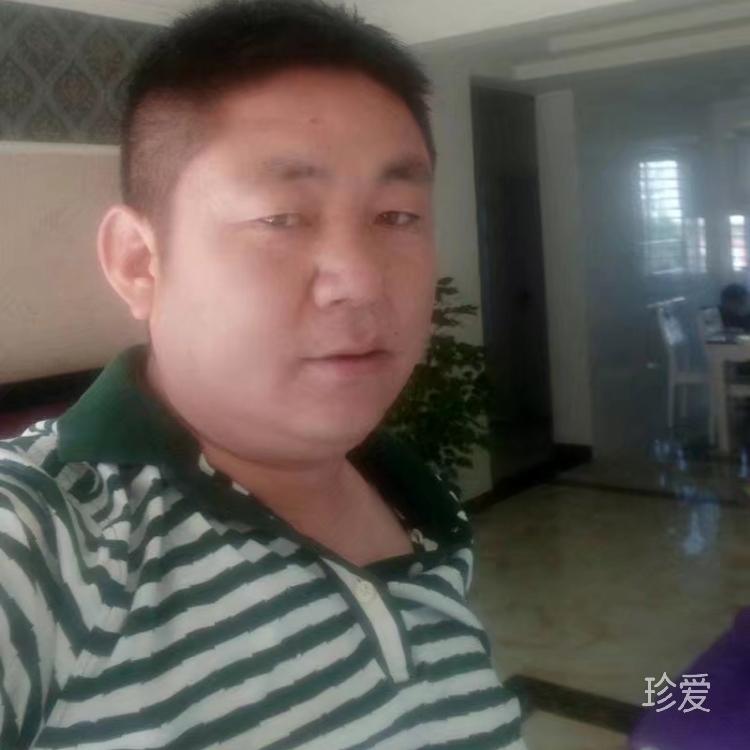 一起去看流星雨