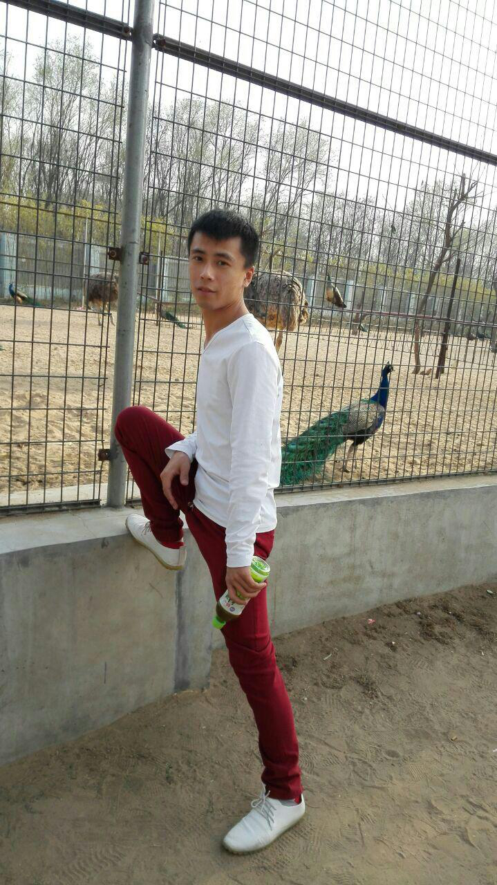 会员84643695