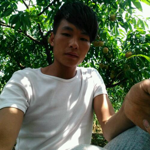 會(huì)員84668997