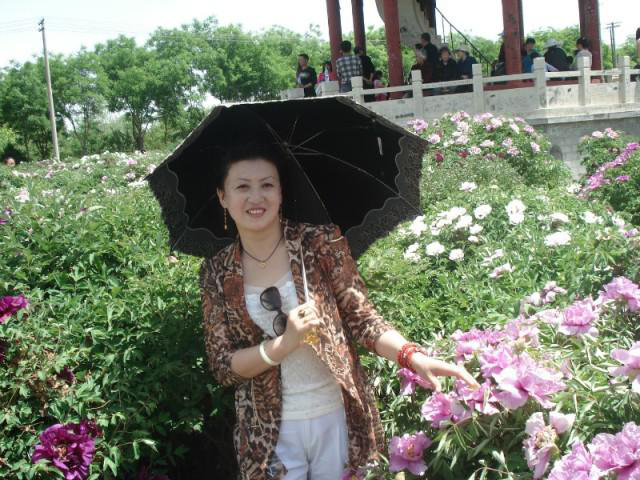 會(huì)員85365720