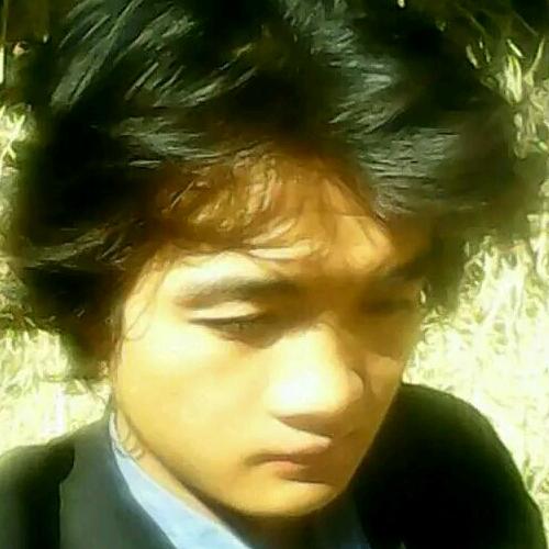 會(huì)員85666815