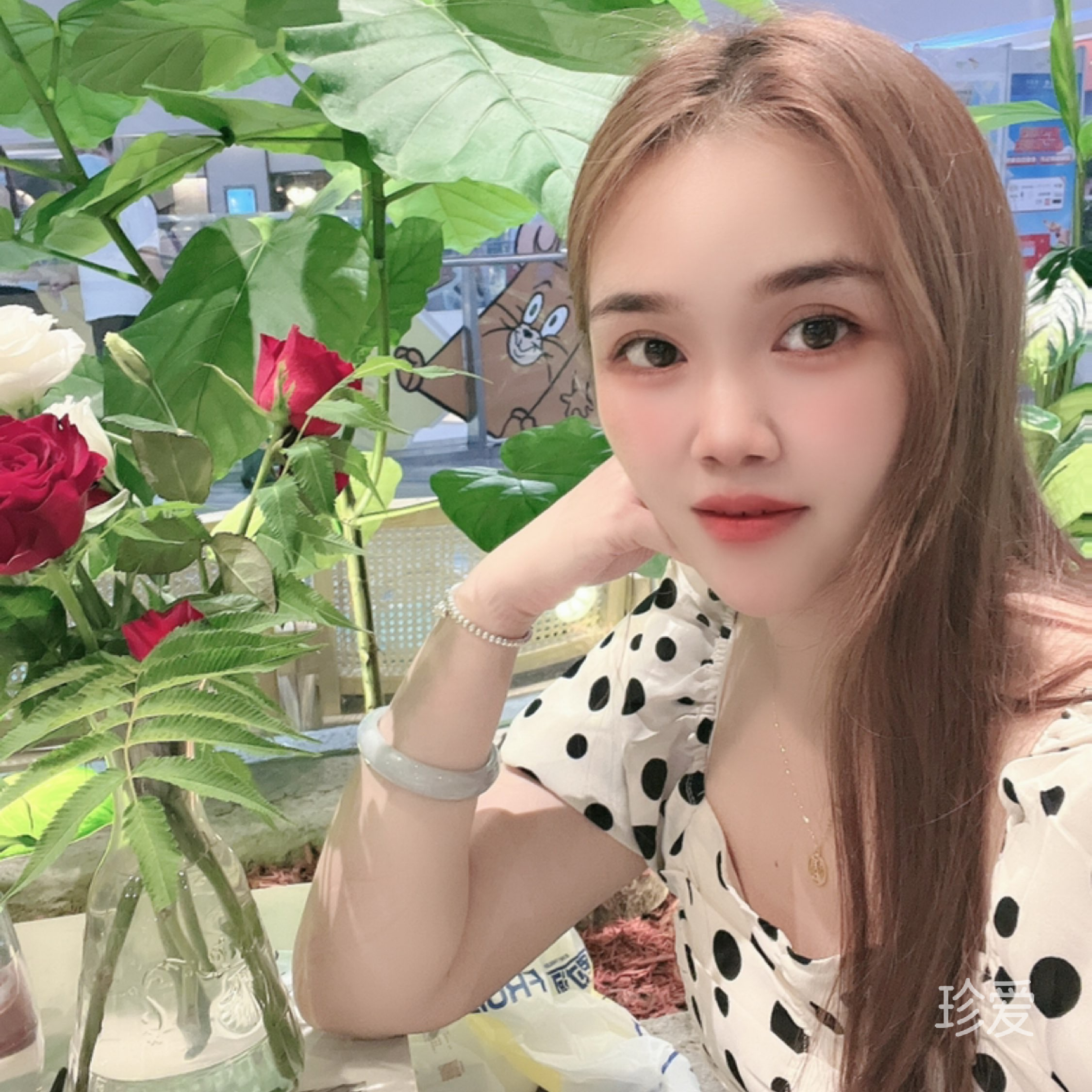 奈何明月照我心