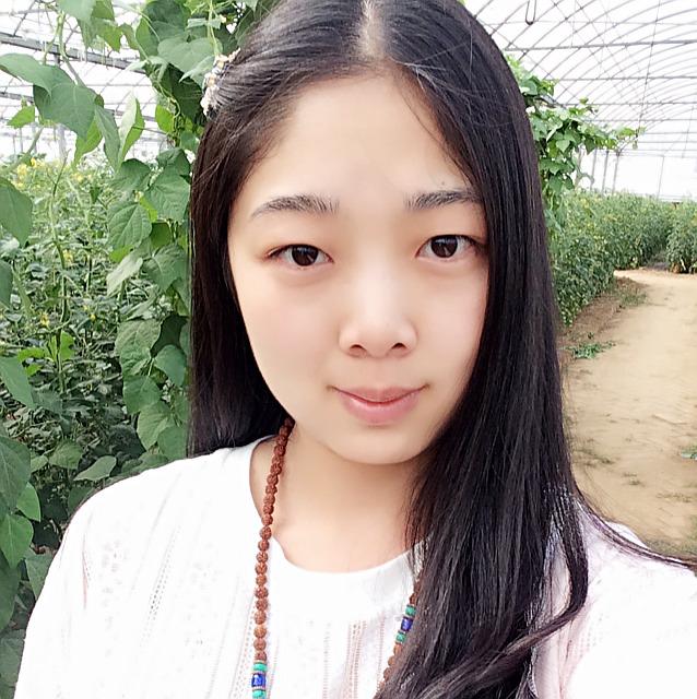 太阳下的阳光之旅